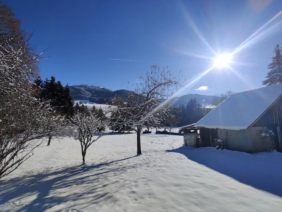 Gite Vallee Verte Burdignin France